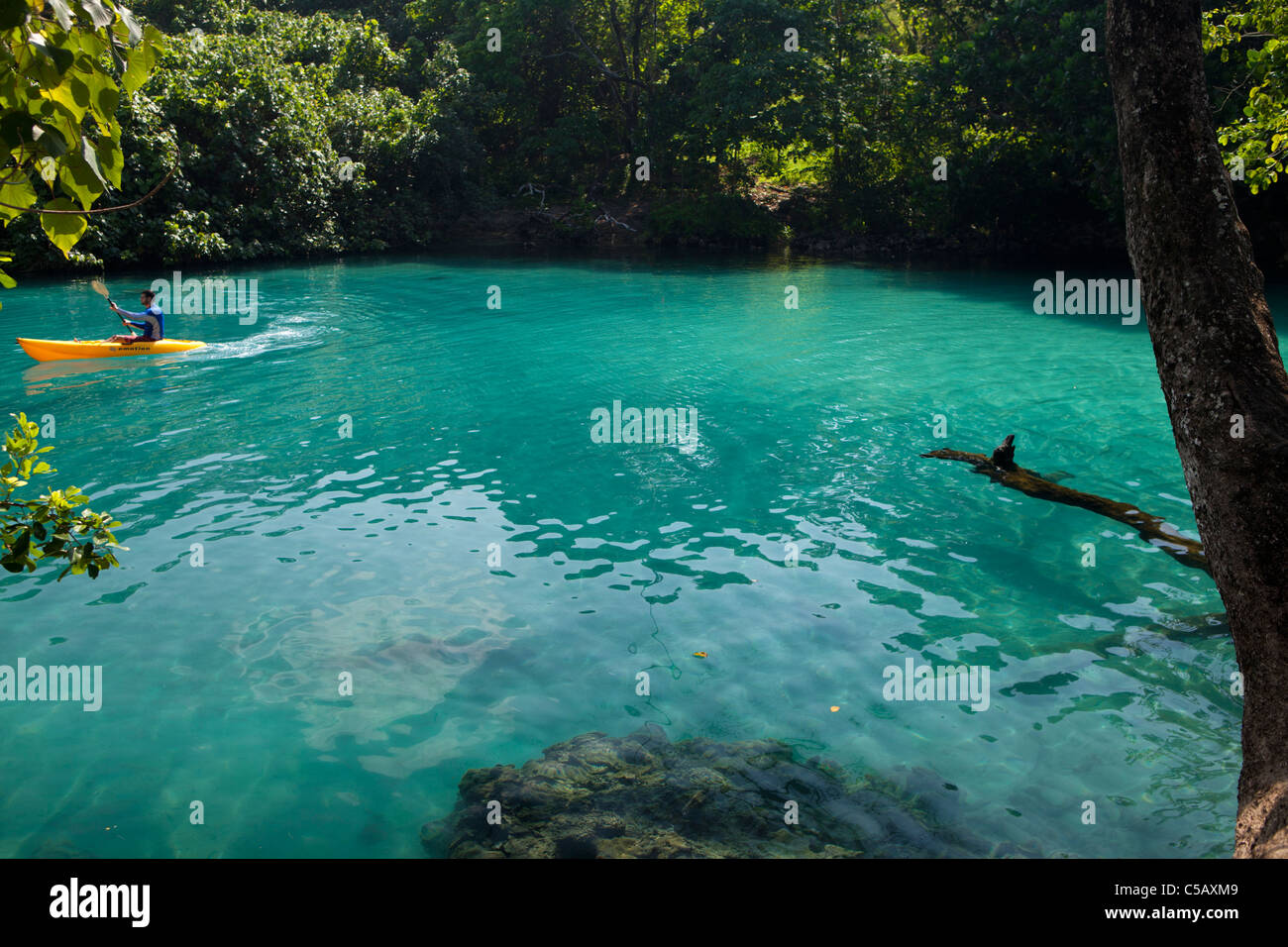 Blue Lagoon, Efate, Vanuatu Stock Photo