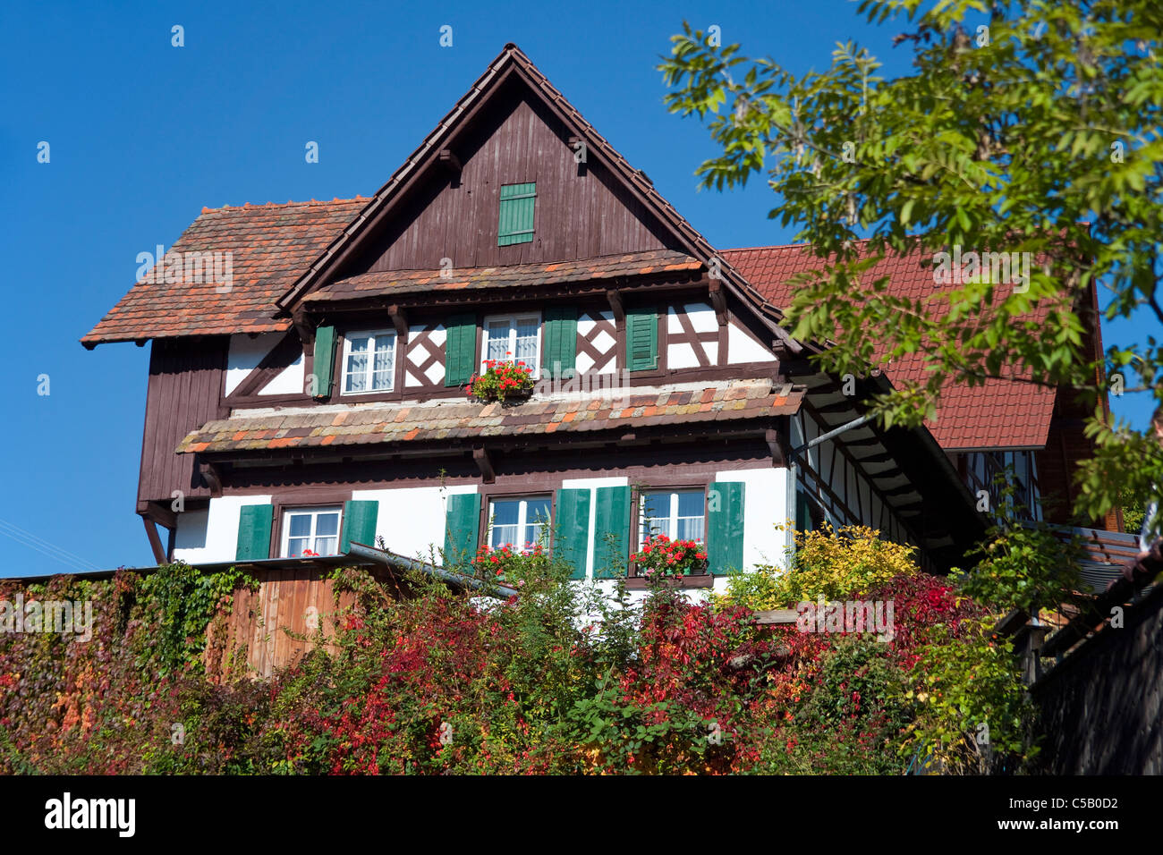 Bauernhaus in Sasbachwalden, Schwarzwald, Farmhouse in Sasbachwalden, Black Forest Stock Photo