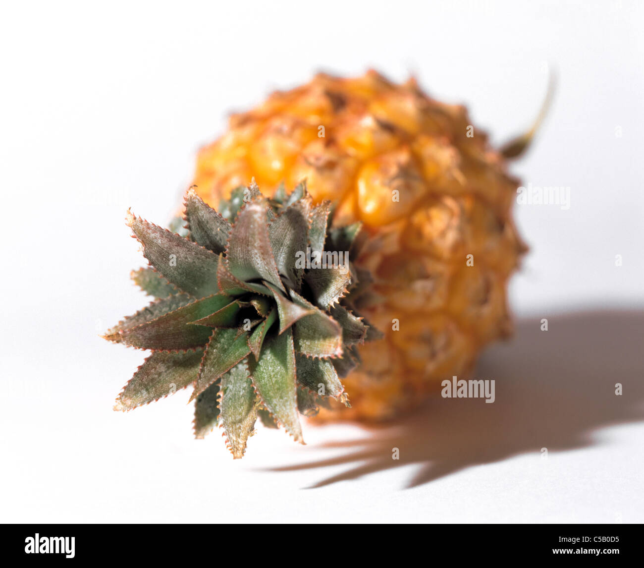 Cut out: Pineapple Stock Photo - Alamy