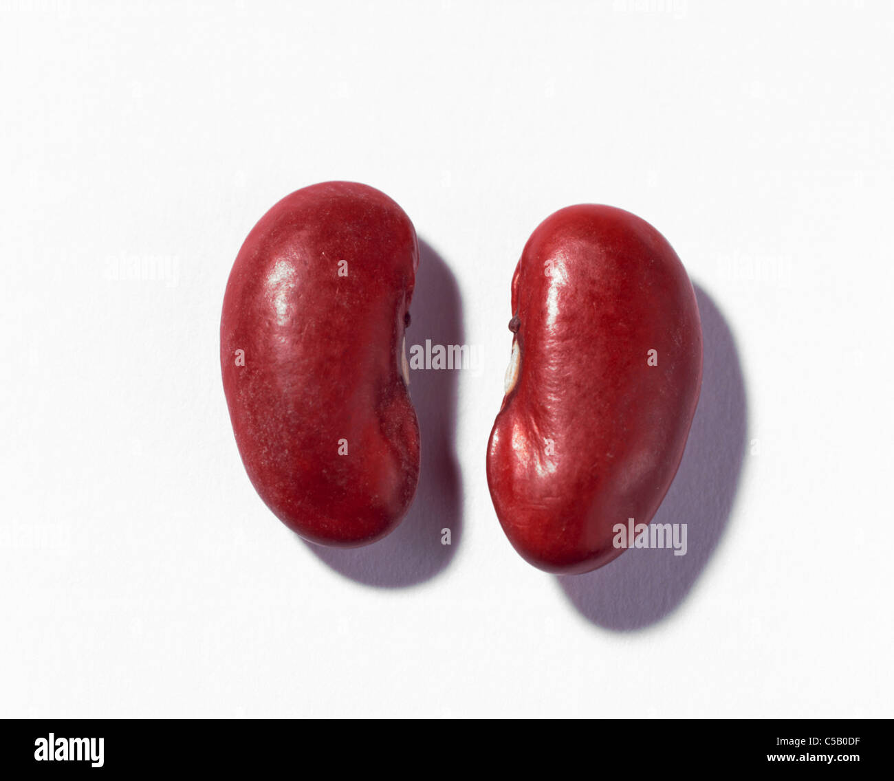 Cut out Kidney beans Stock Photo Alamy