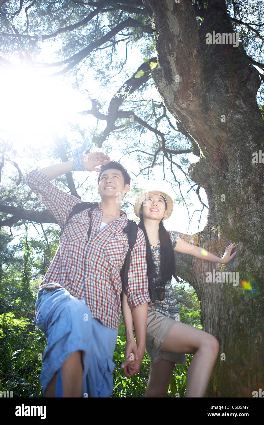 Couple holding hands standing in forest Stock Photo - Alamy