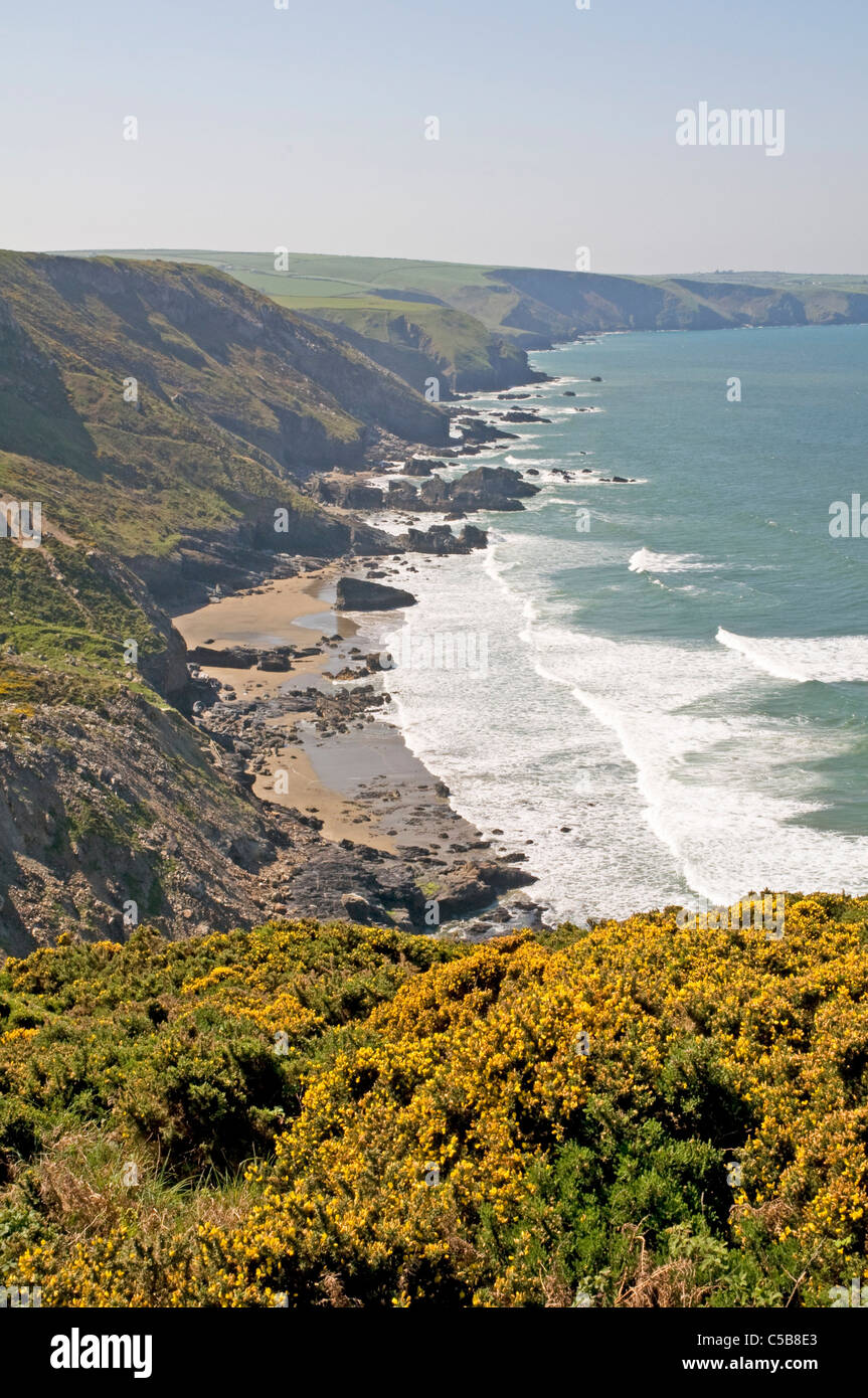 Tregardock beach on Cornwall's Atlantic coast, a few miles east of Port Isaac and popuar with surfers at low to mid tide. Stock Photo