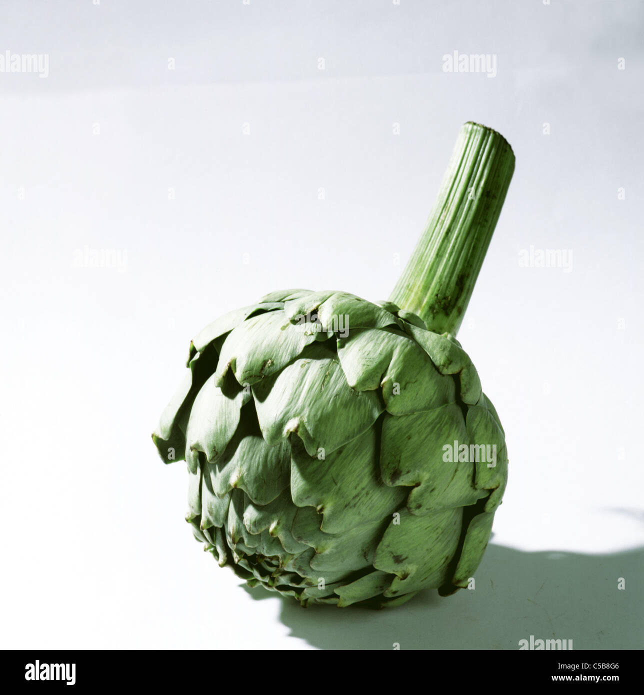 Cut out Artichoke Stock Photo Alamy