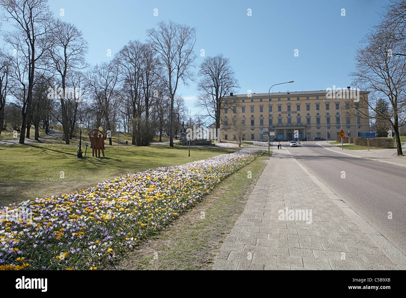 VÃ¥rkrokus flowerbed by the path leading to Carolina Rediviva at Carolina Hill in Uppsala, Sweden Stock Photo