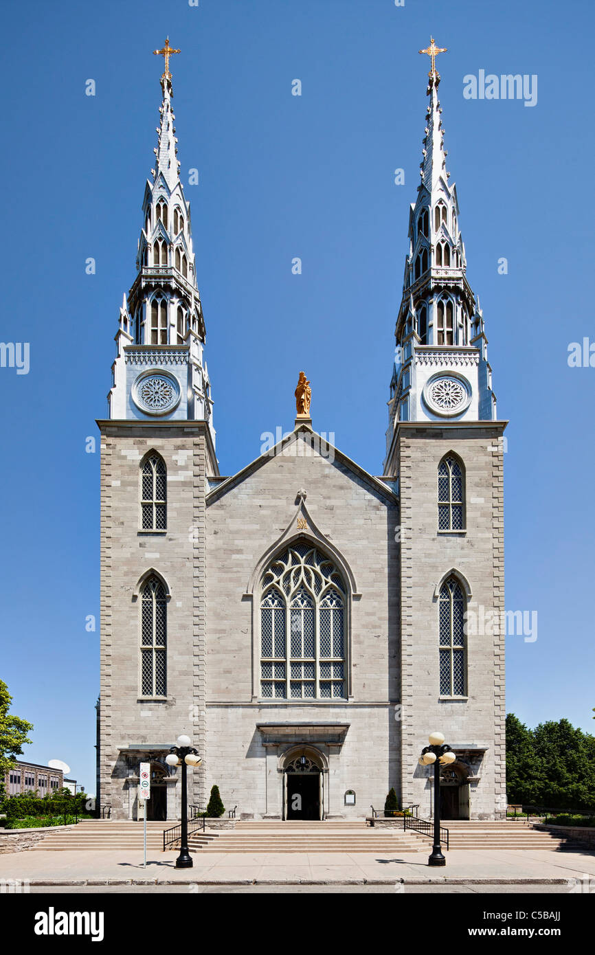 Notre dame cathedral ottawa ontario stock photo alamy