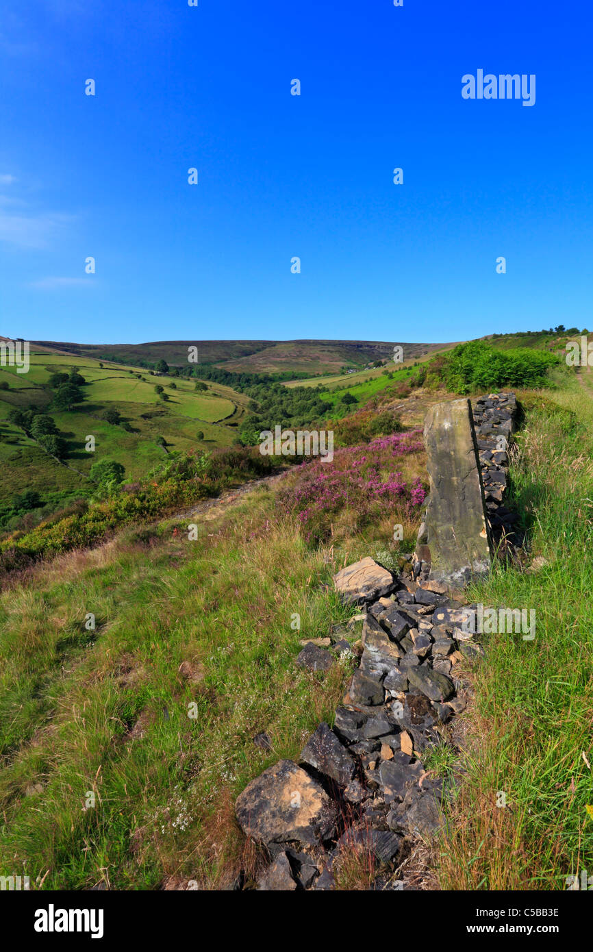 Royd Edge Clough above Meltham near Holmfirth, West Yorkshire, Peak