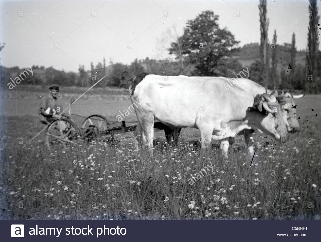 12865 Stock Photos & 12865 Stock Images - Alamy