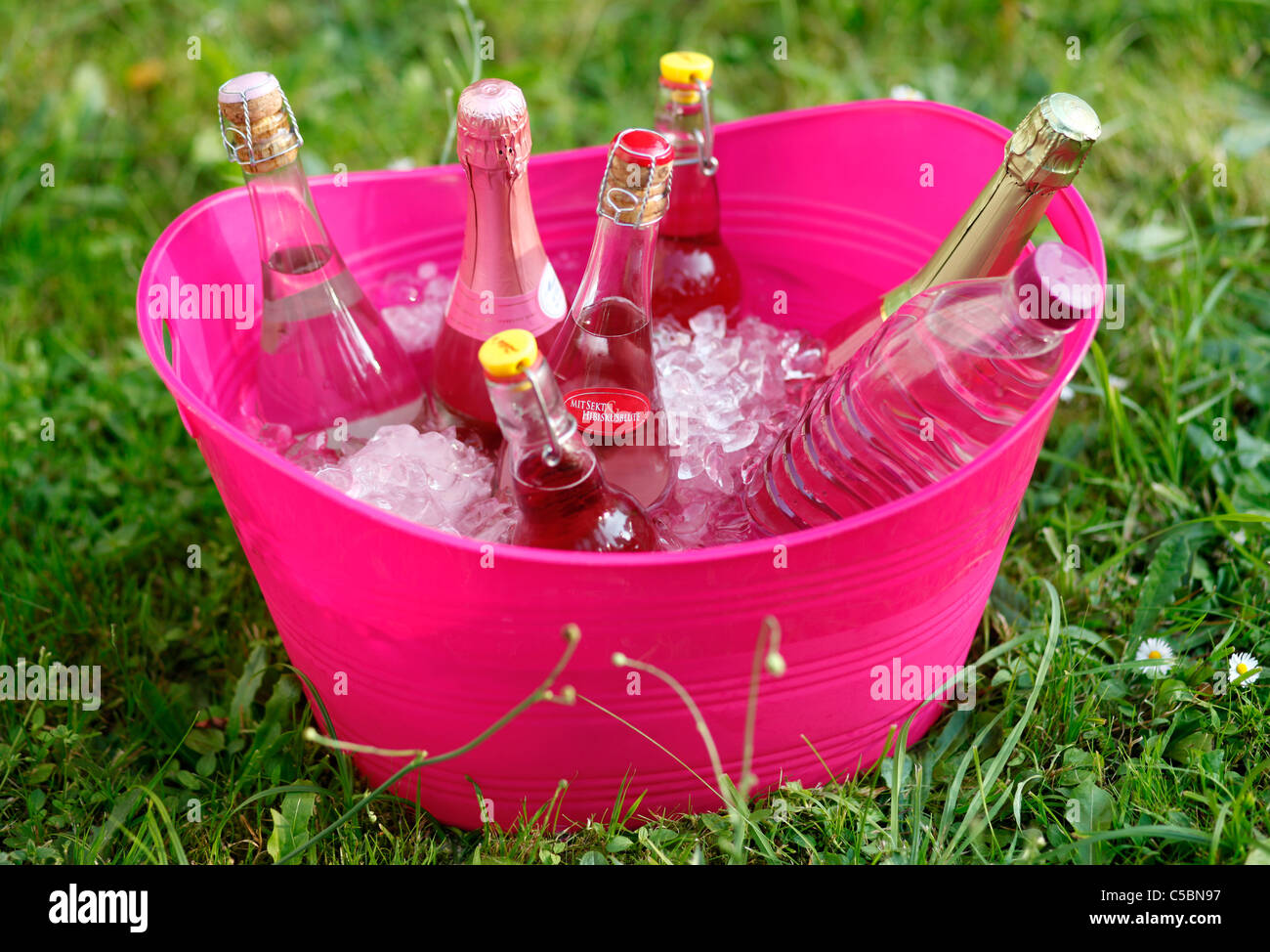 Cooling bottles  with icecubes in a huge pink plastic container in the garden Stock Photo