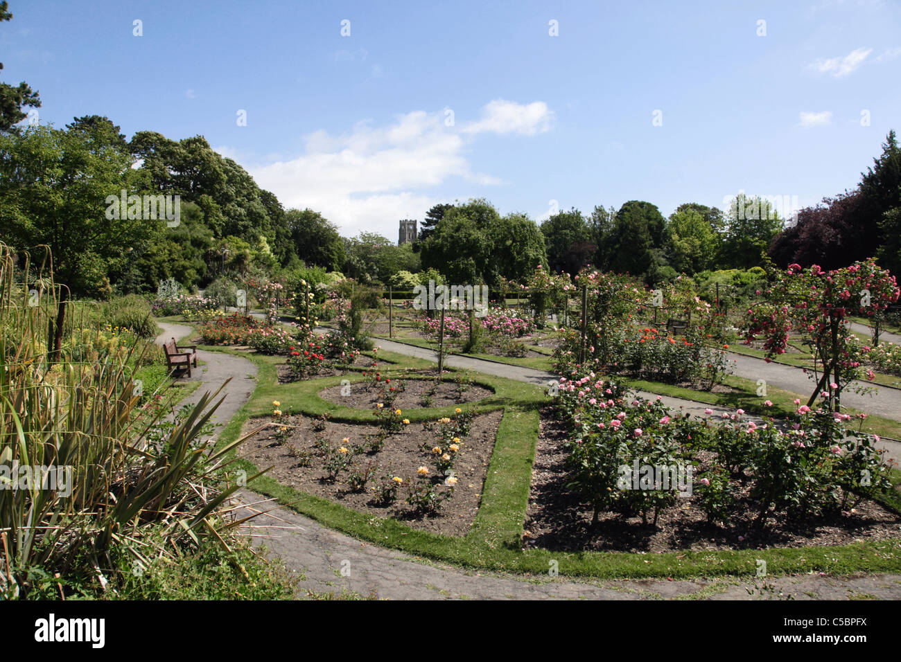 Rose garden area of Kingsnorth Gardens Folkestone Stock Photo Alamy