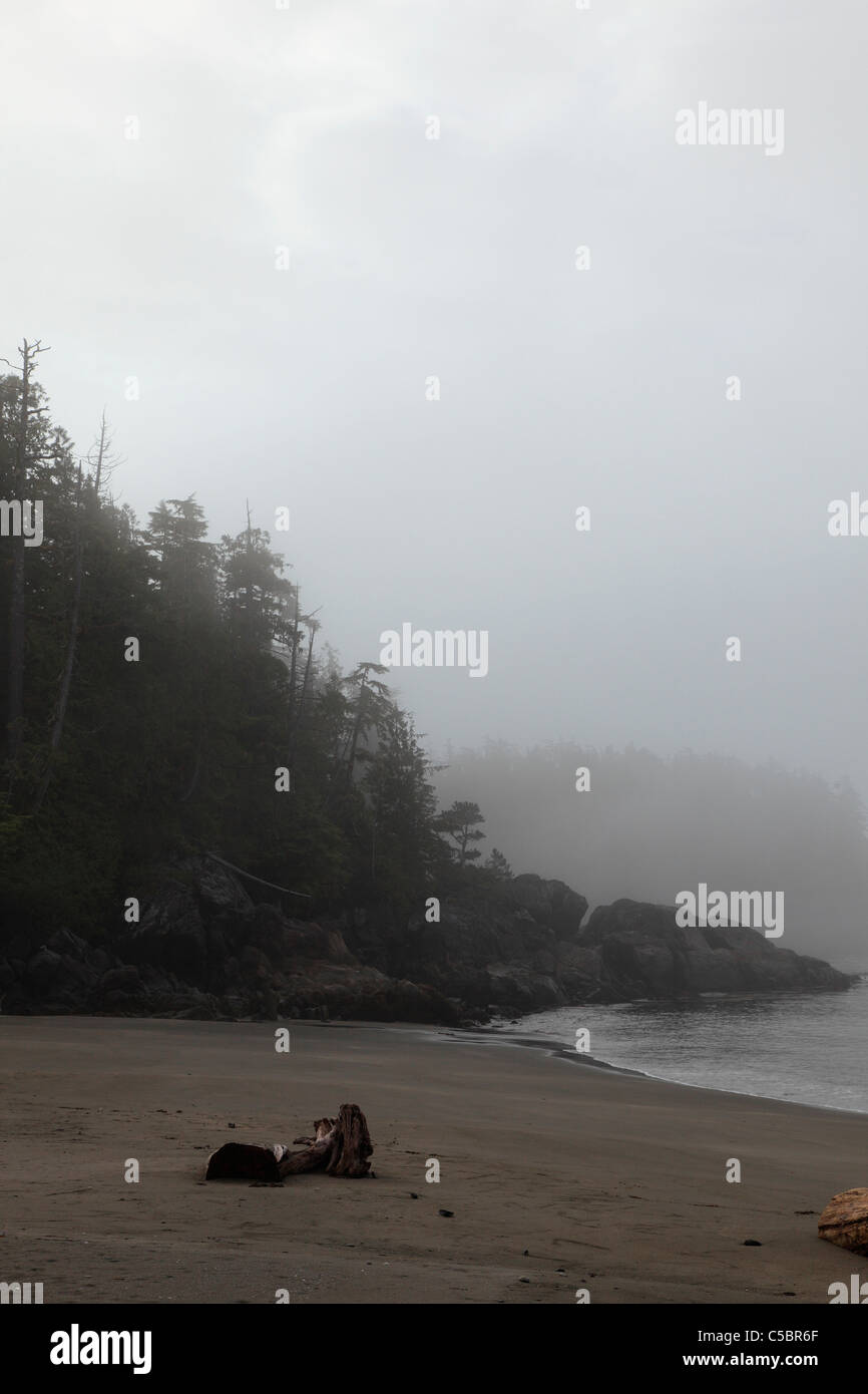 low lying fog on a summer morning on a beach near Tofino BC Canada Stock Photo