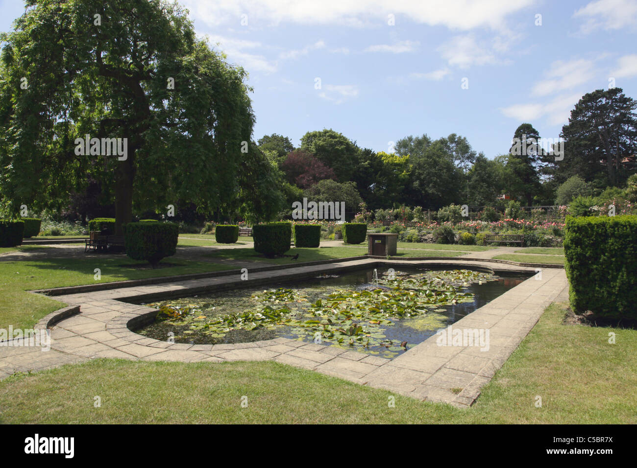 Fishpond in Kingsnorth Gardens Folkestone Stock Photo Alamy