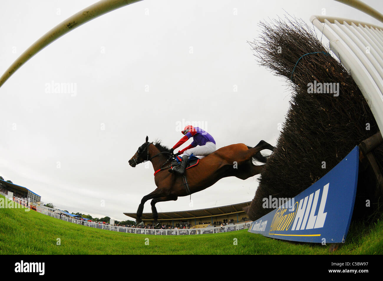 A horse and jockey jump a fence at Newton Abbot racecourse in Devon. Stock Photo