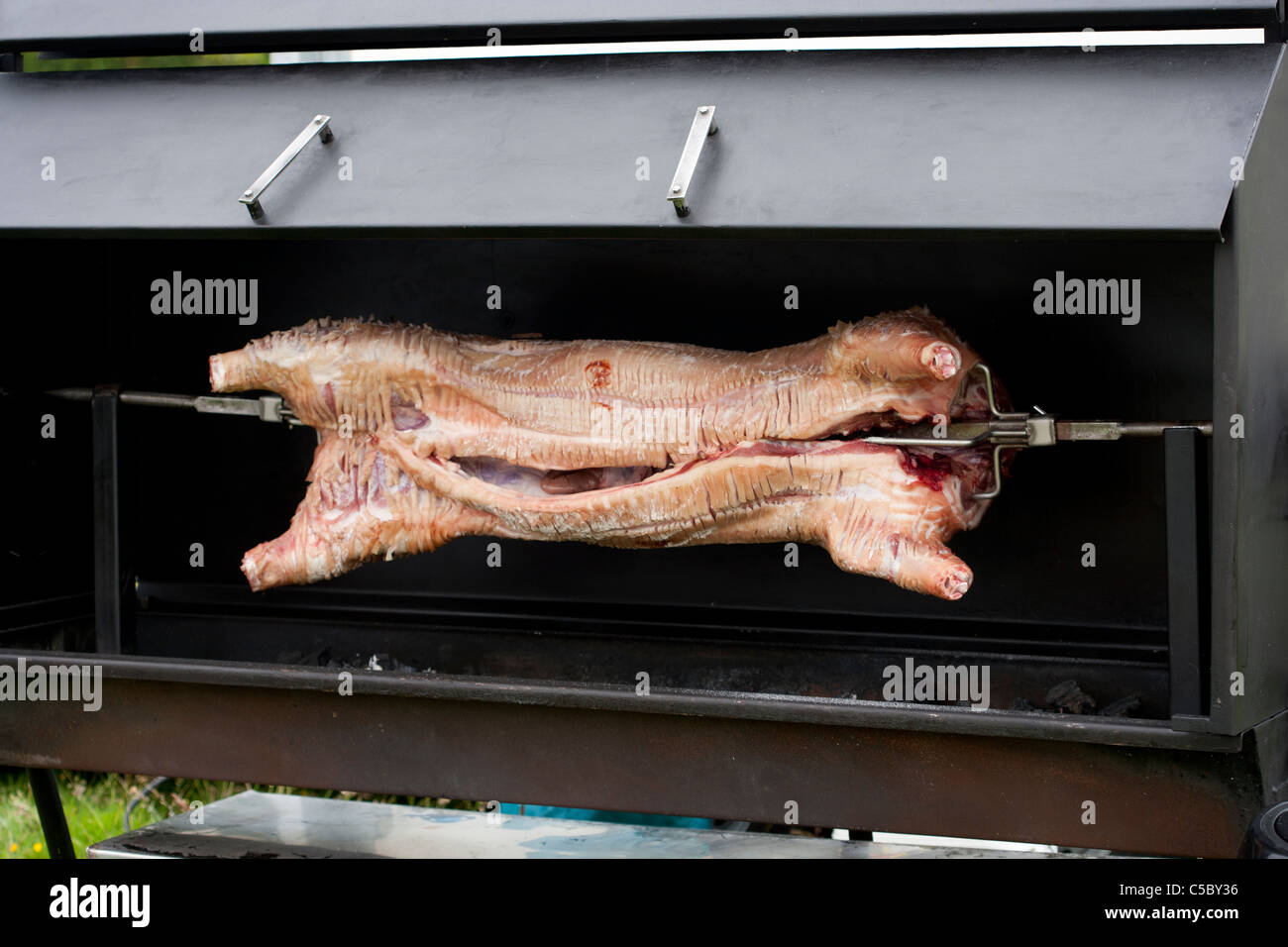 Hog roast cooking on a spit Stock Photo