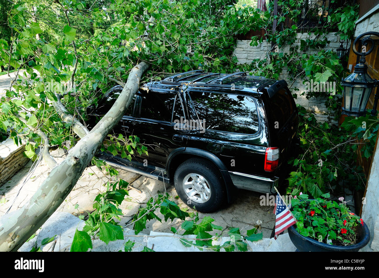 Storm damaged vehicle with downed tree crushing the roof Stock Photo