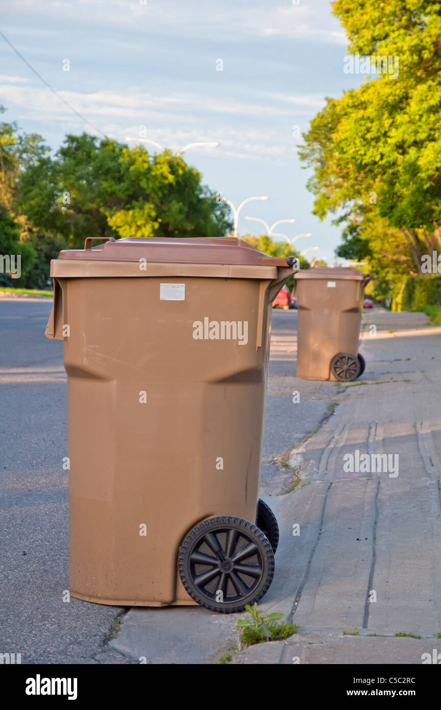 Garbage cans lined down the road ready to be picked up in the morning