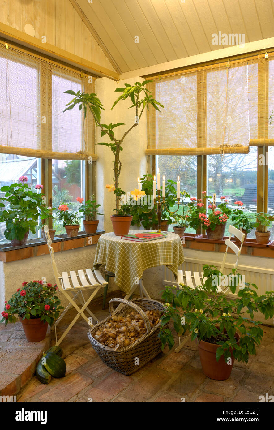 Greenhouse with tables and chairs Stock Photo Alamy