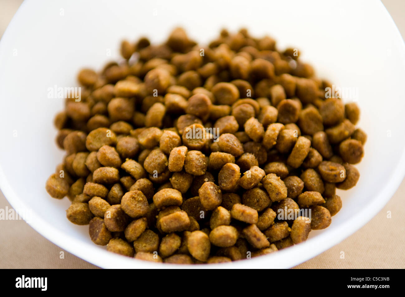A bowl of dry dog food. Stock Photo