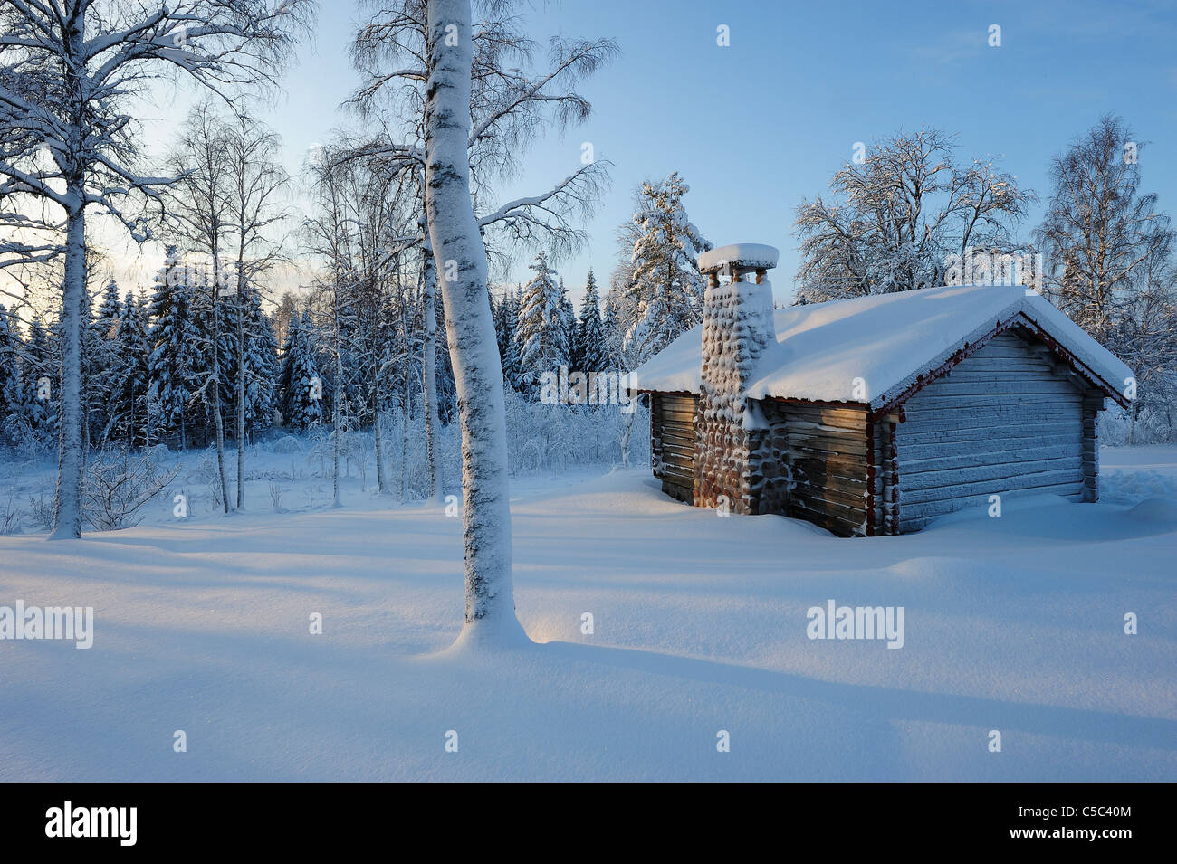 Log cabin and hoarfrost trees in winter landscape Stock Photo
