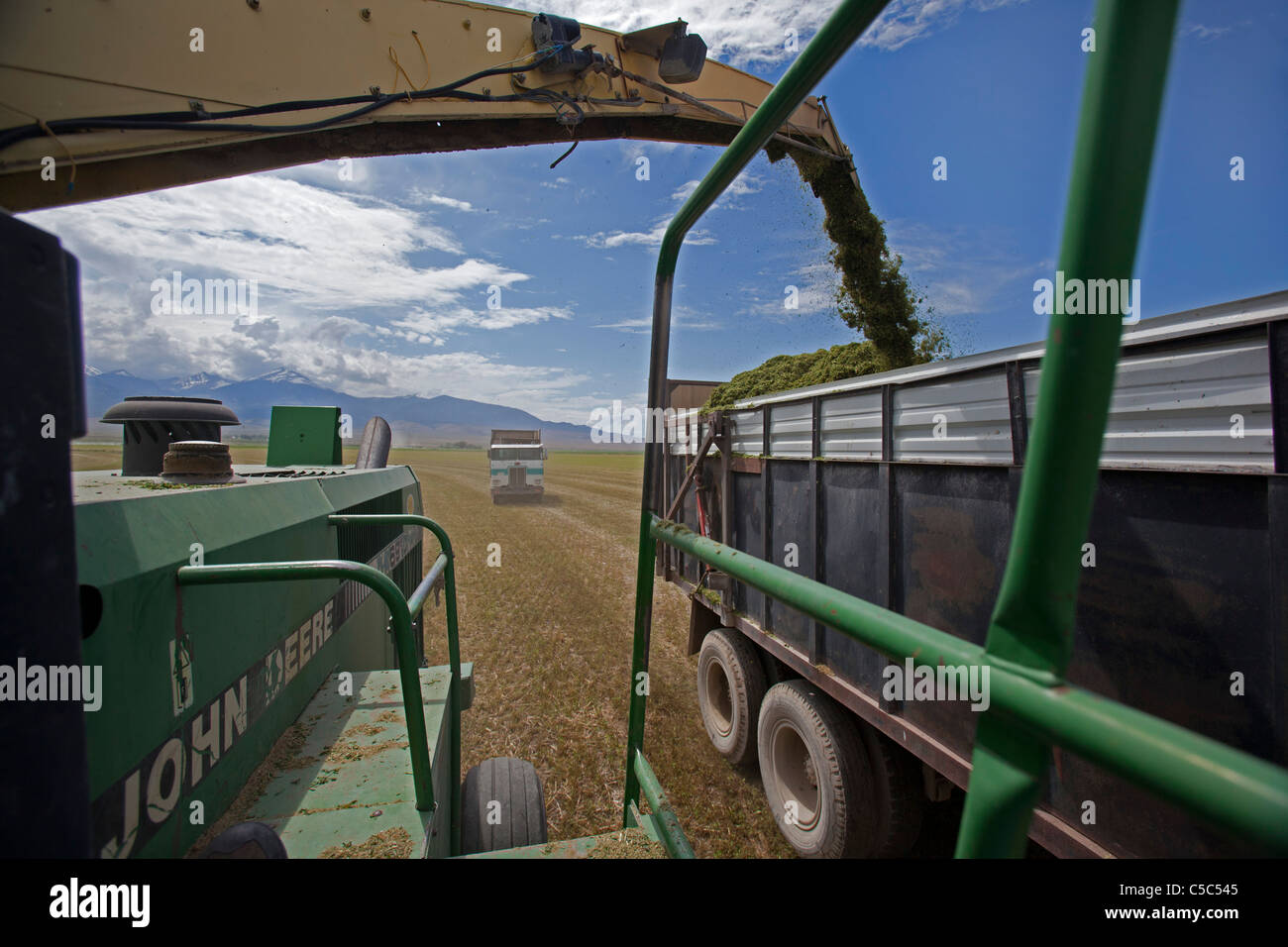 Nevada Cattle Ranch Stock Photo