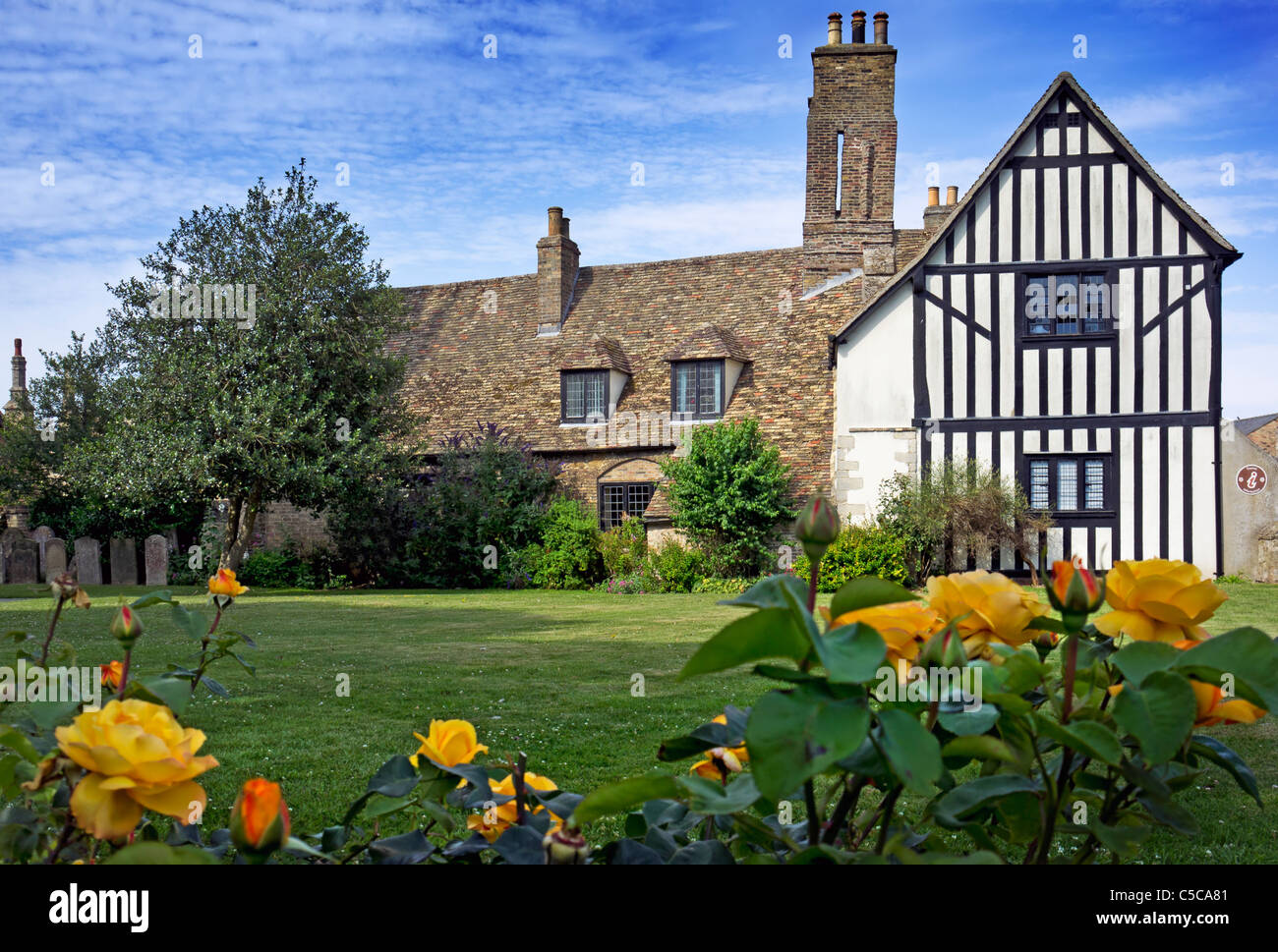 Oliver Cromwell's House Ely, fronted by yellow roses Stock Photo