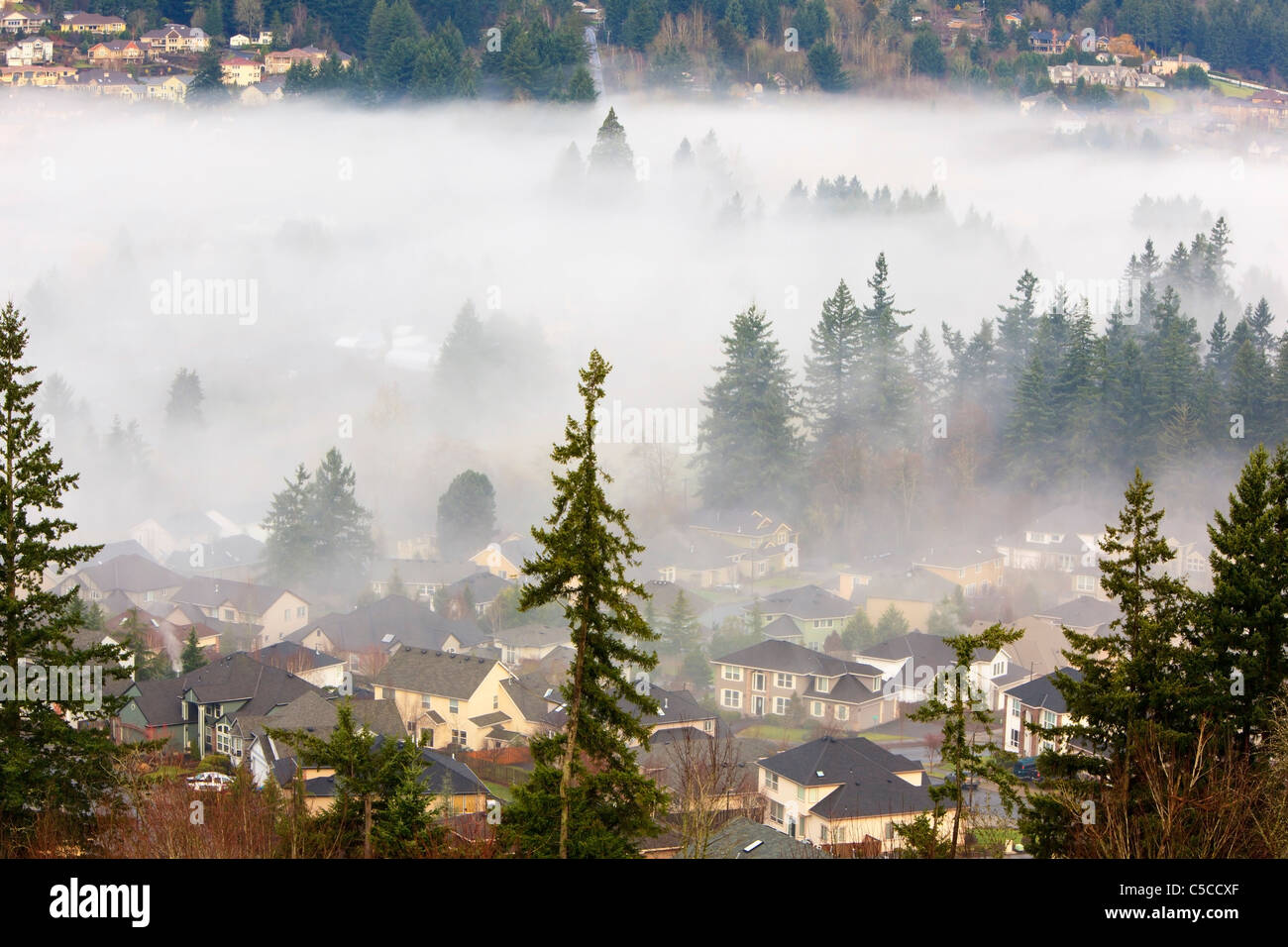 Sunrise And Morning Fog; Happy Valley, Oregon, Usa Stock Photo