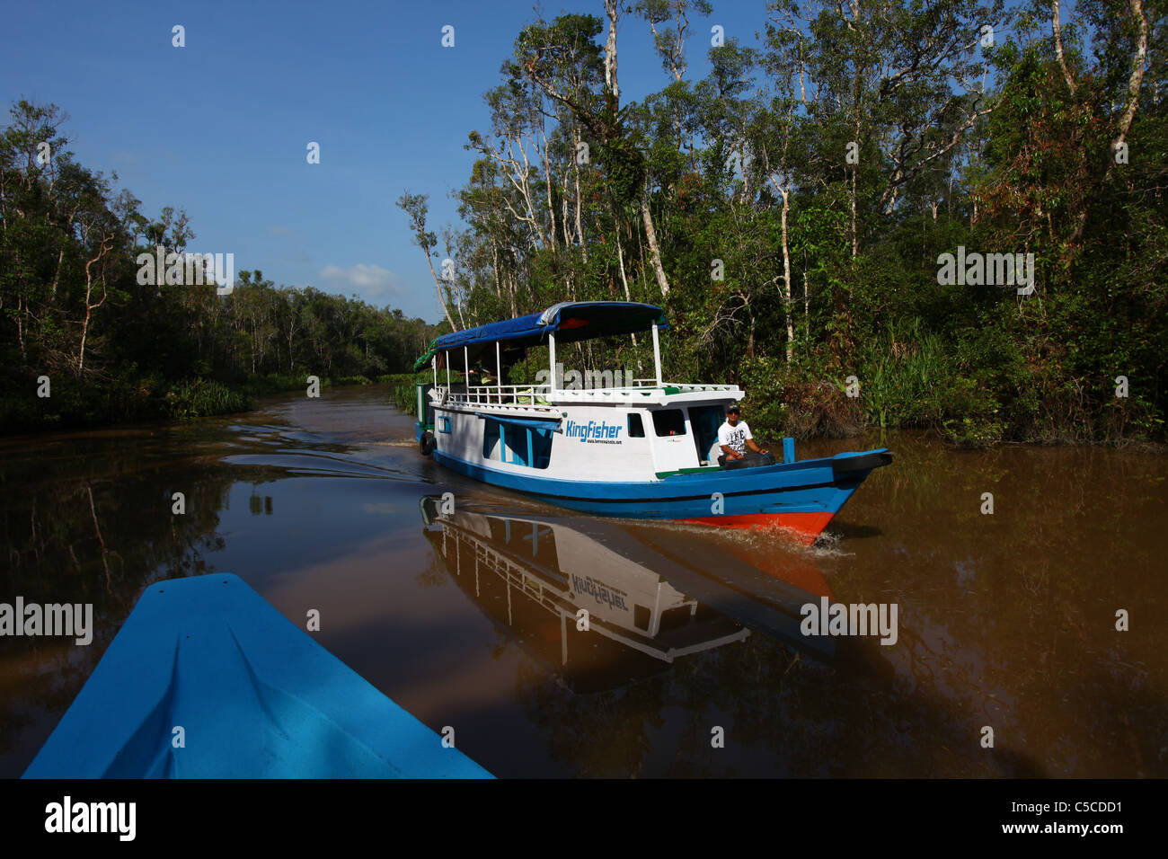 A wooden boat cruises the Sekonyer River, Tanjung Puting National Park, Central Kalimantan, Indonesia Stock Photo