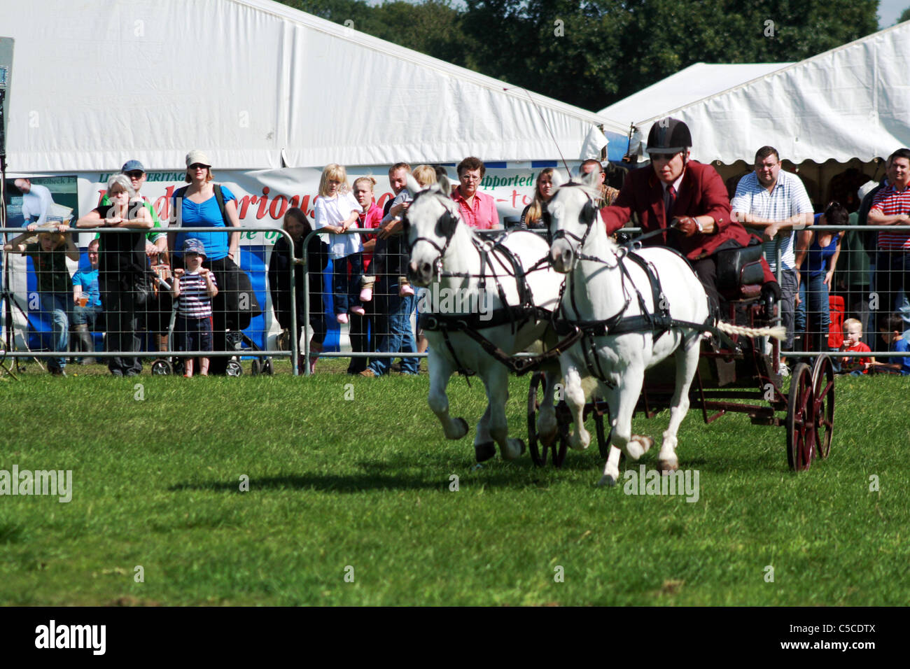 Scurry Racing Scurry racing at Cheshire game and country show at Cheshire Show Ground ...