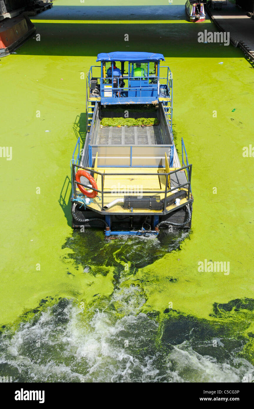 "The Lee mean clean machine" owned by British Waterways at work on the Lee Navigation scooping up green summer algal bloom about to pass under bridge Stock Photo