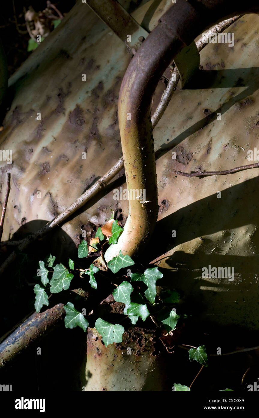 Old wheelbarrows in woods hires stock photography and images Alamy