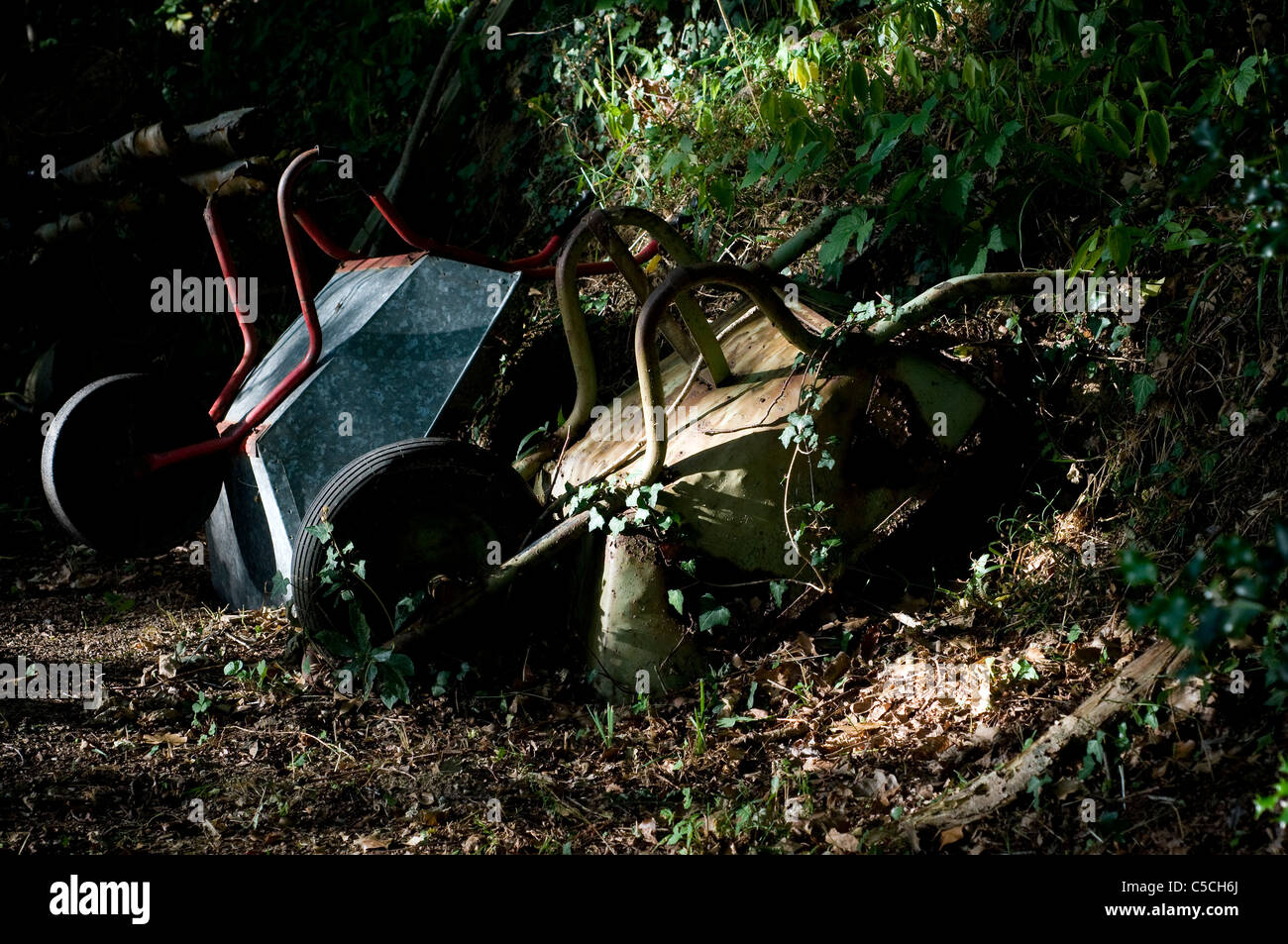 old wheelbarrows in woods Stock Photo Alamy