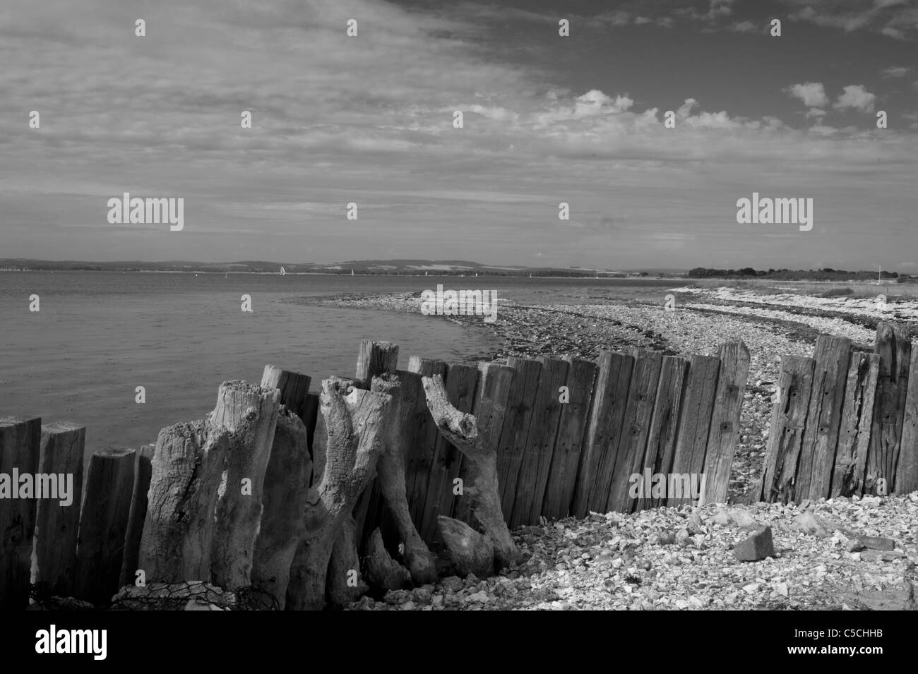 Wooden groynes at West Wittering, West Sussex, UK Stock Photo