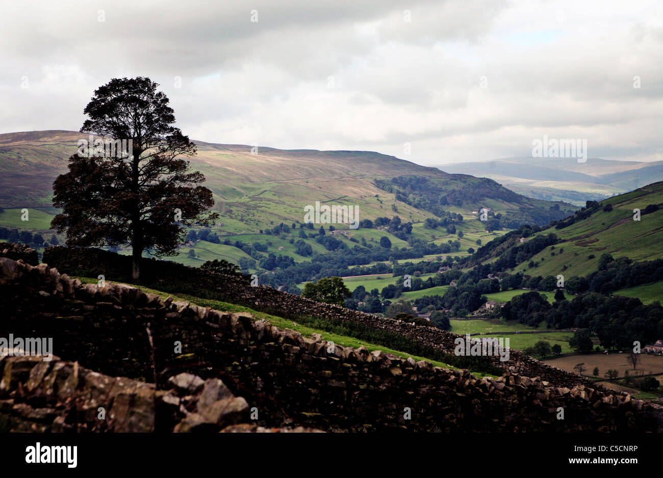 Yorkshire Dales Valley Stock Photo
