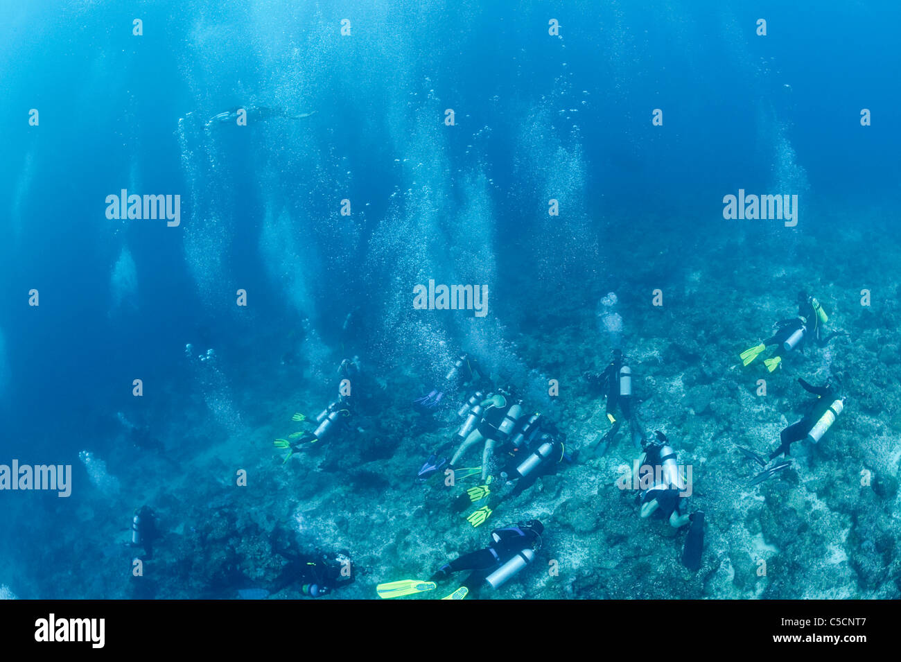dozens of scuba divers at Manta Point dive site, Maldives Stock Photo
