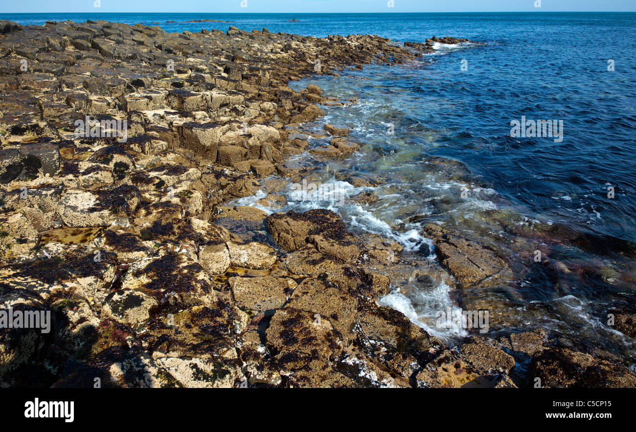 Giant's Causeway County Antrim Northern Ireland Stock Photo