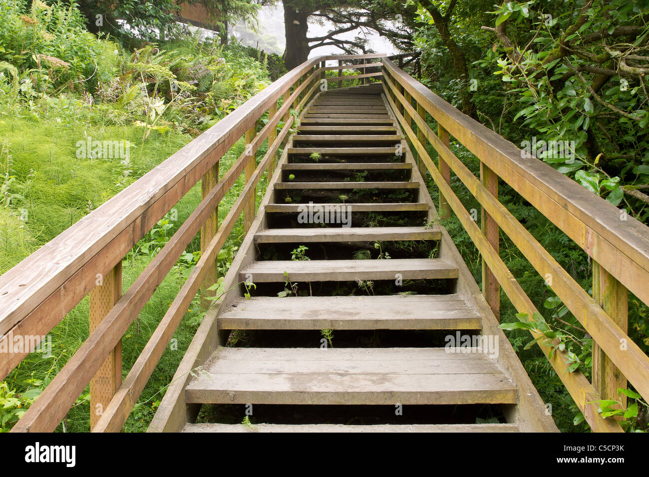 Wooden Stairs at Hiking Trail to the Beach Stock Photo