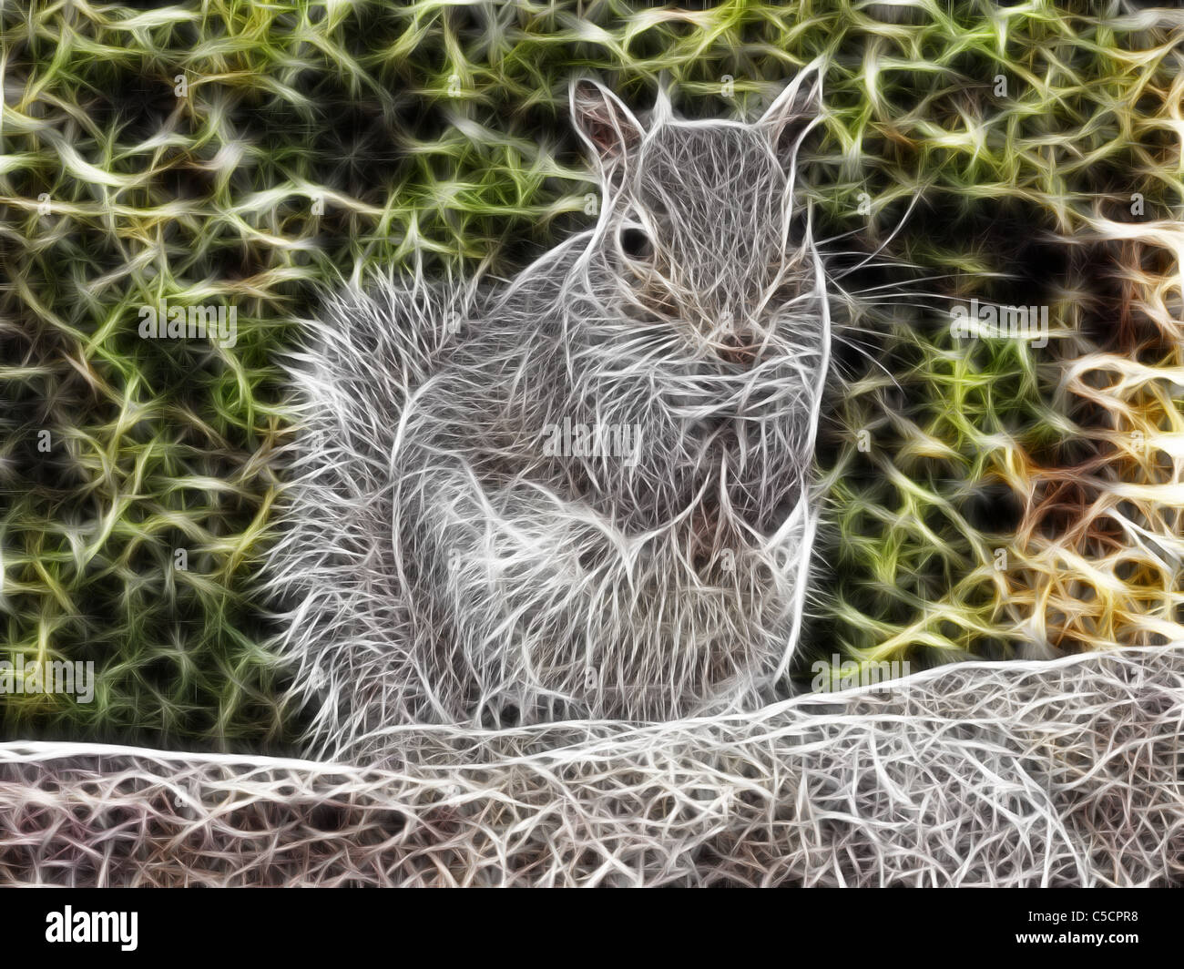 Grey Squirrel Digital Rendering Stock Photo - Alamy