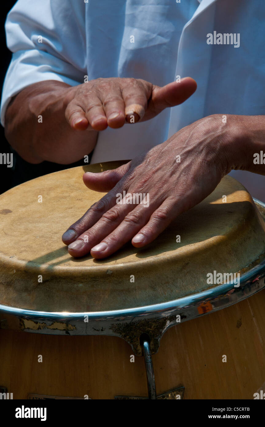 Musician percussionist hires stock photography and images Alamy