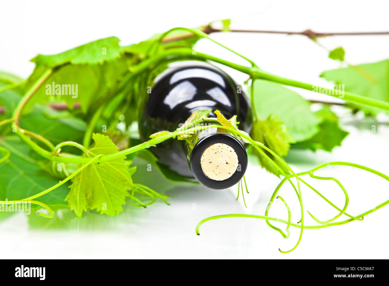 A bottle of red wine with leaves and tendrils Stock Photo