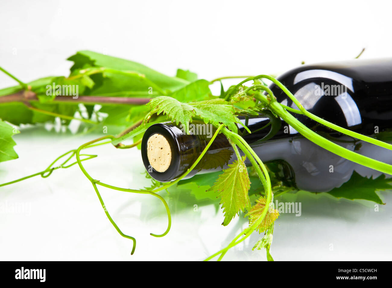 A bottle of red wine with leaves and tendrils Stock Photo