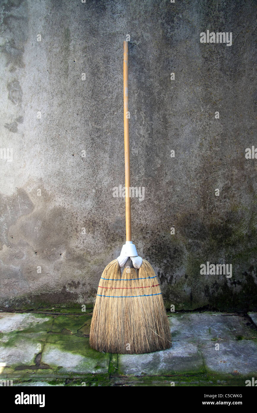 Small Plastic Whisk Broom / Vintage Cleaning Tool / Retro Garage