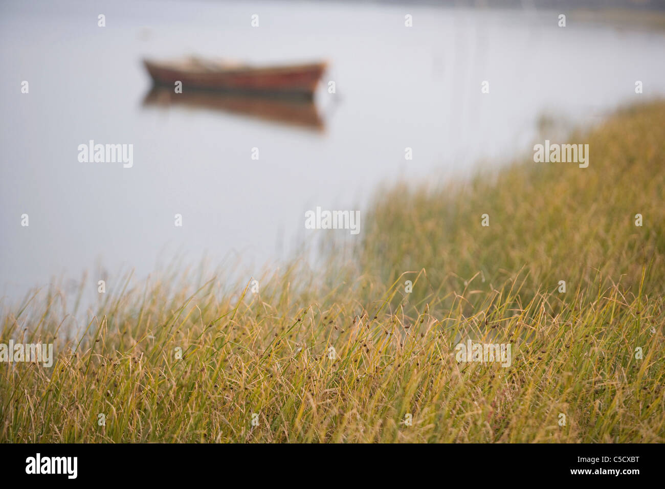 landscape of the grass and boat Stock Photo