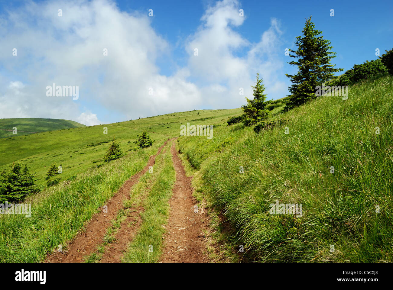 mountain dirt road and fir trees on the hill Stock Photo