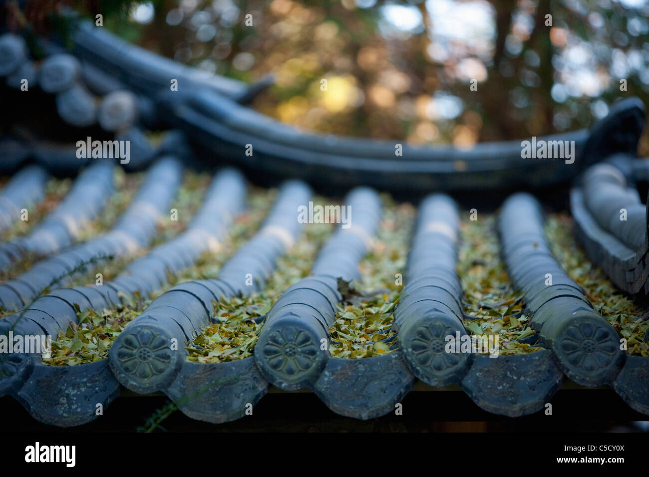 tiled roof in autumn scenery Stock Photo - Alamy