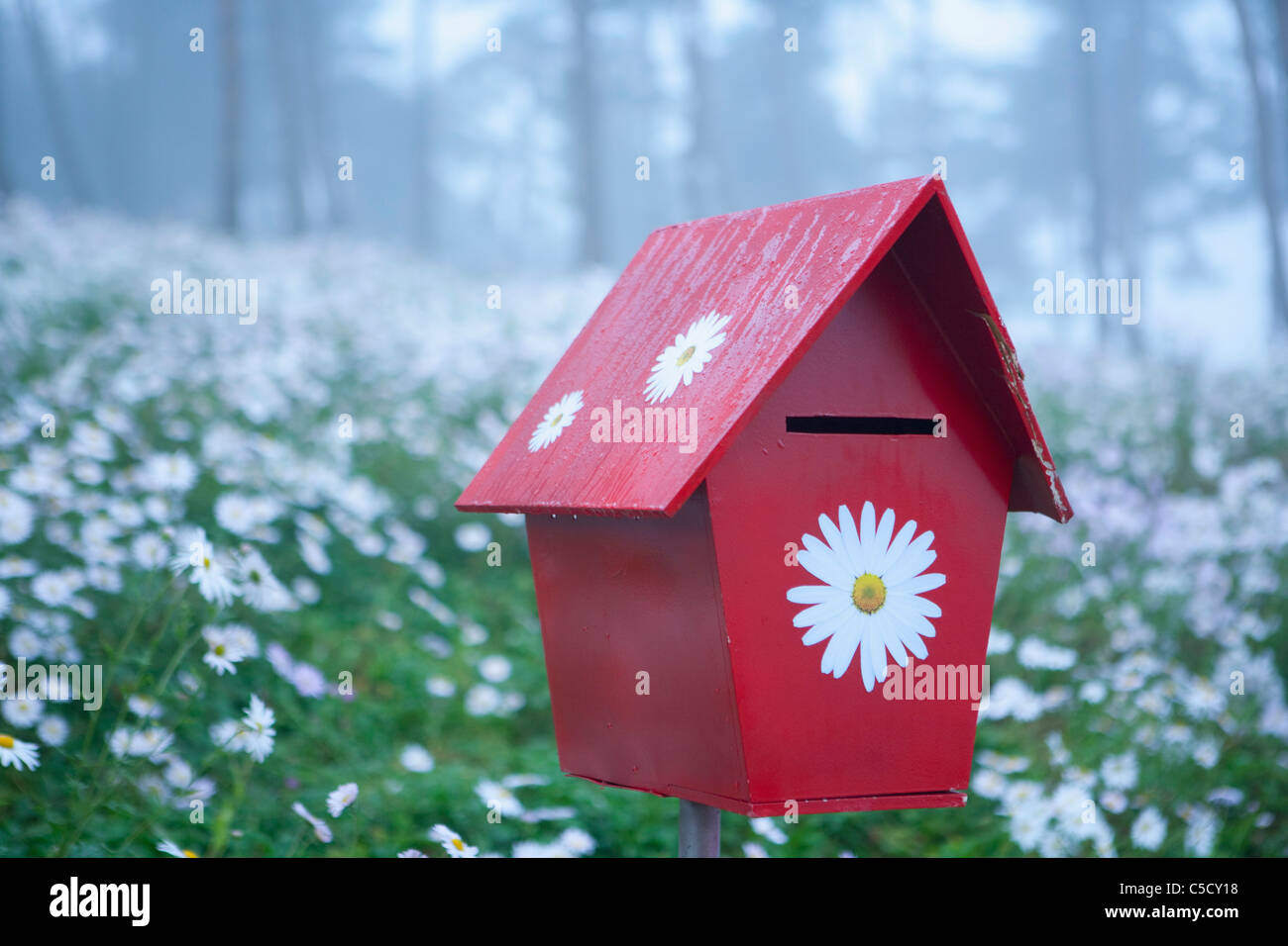 postbox in flower field Stock Photo