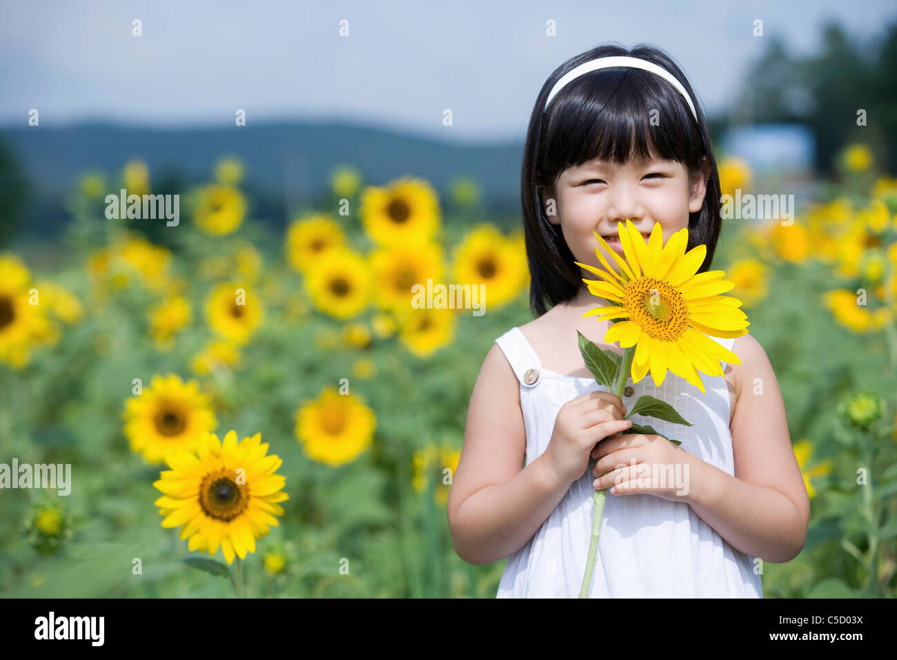 girl holding sunflower in flower field Stock Photo - Alamy
