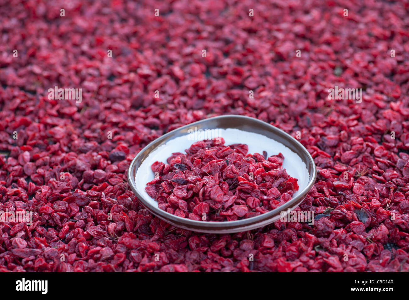 dried fruits of Chinese matrimony vine Stock Photo Alamy