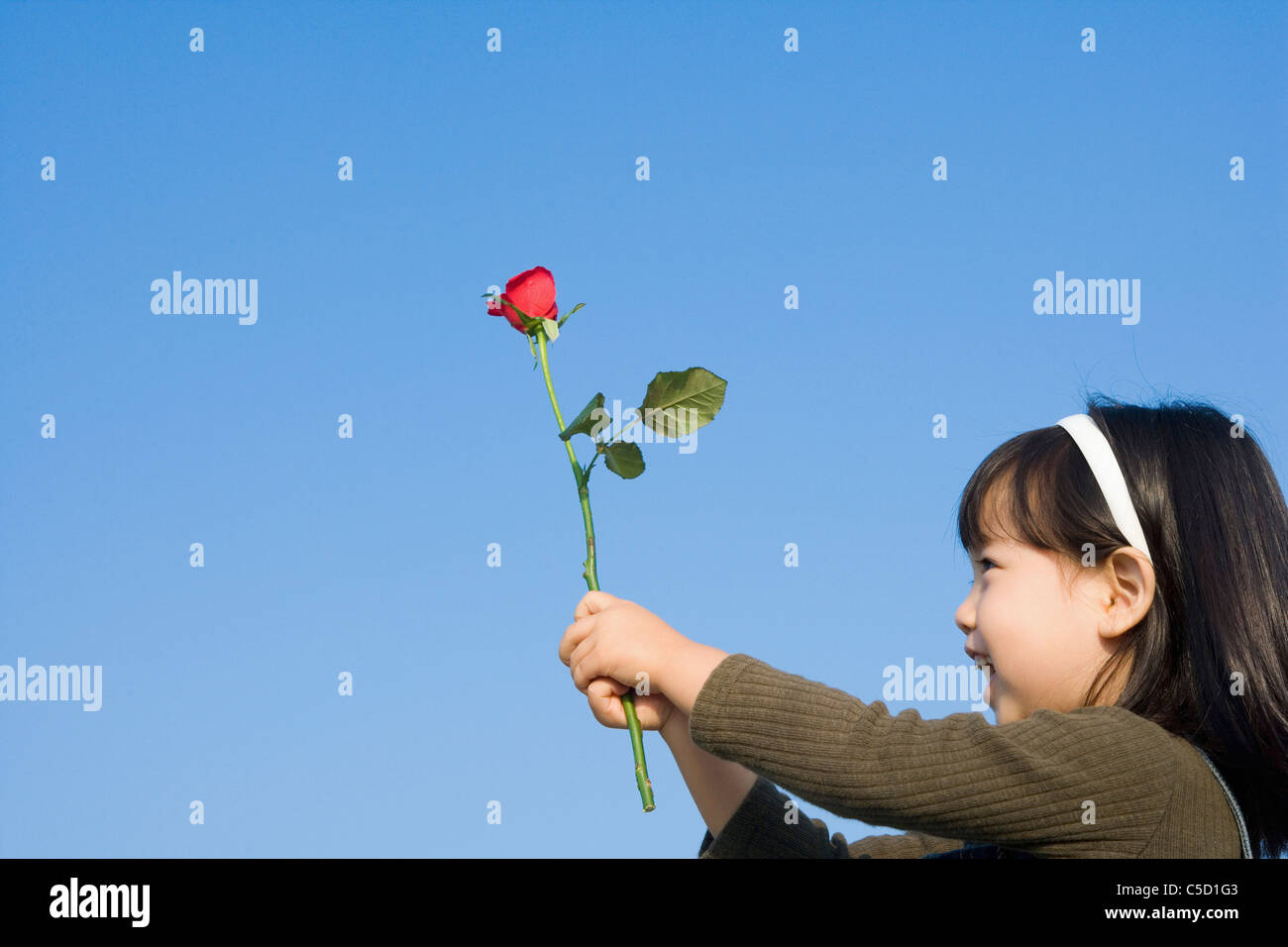 She Rises With Roses Asian red rose hi-res stock photography and images - Alamy