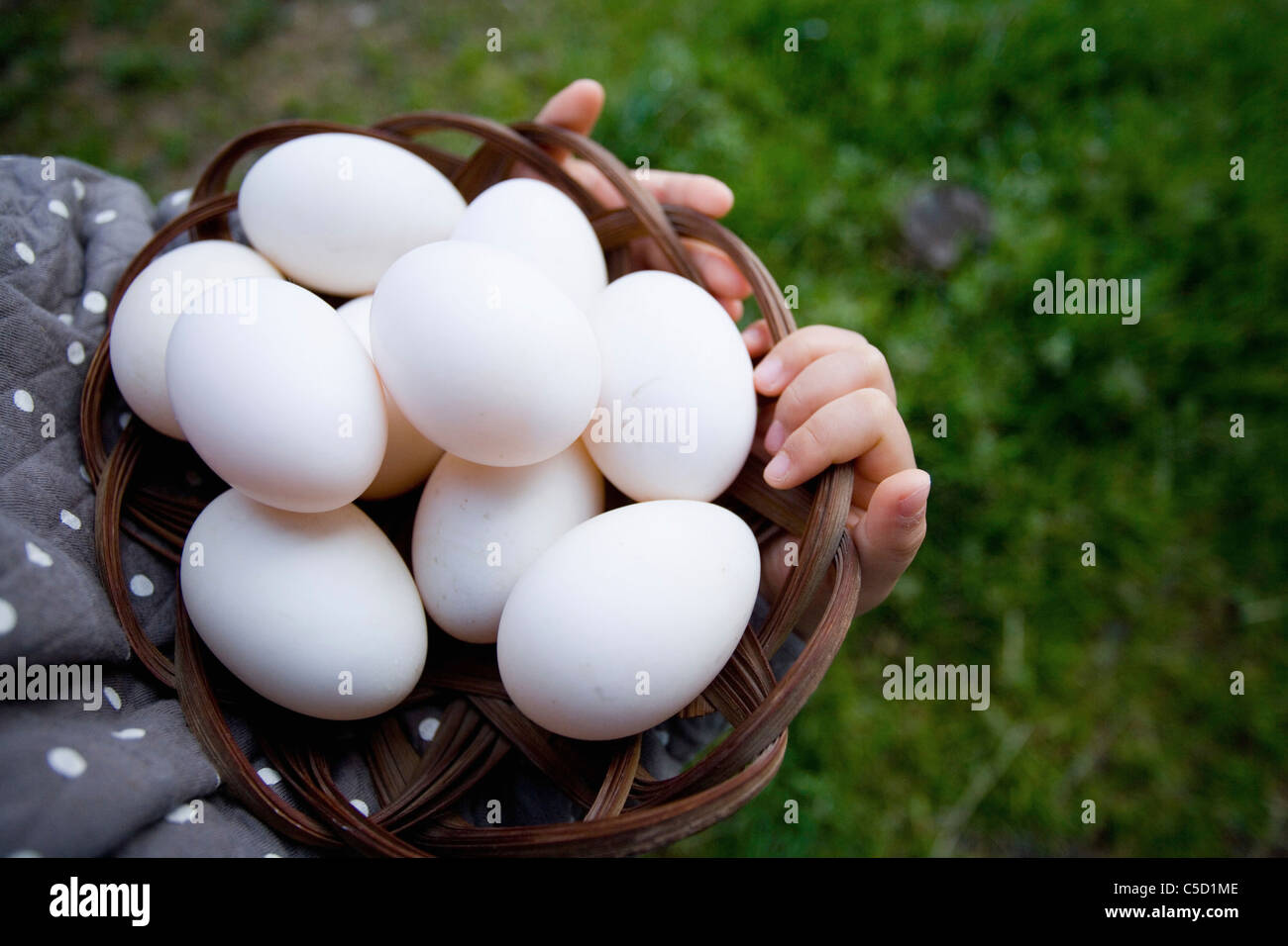 basket was filled with eggs Stock Photo