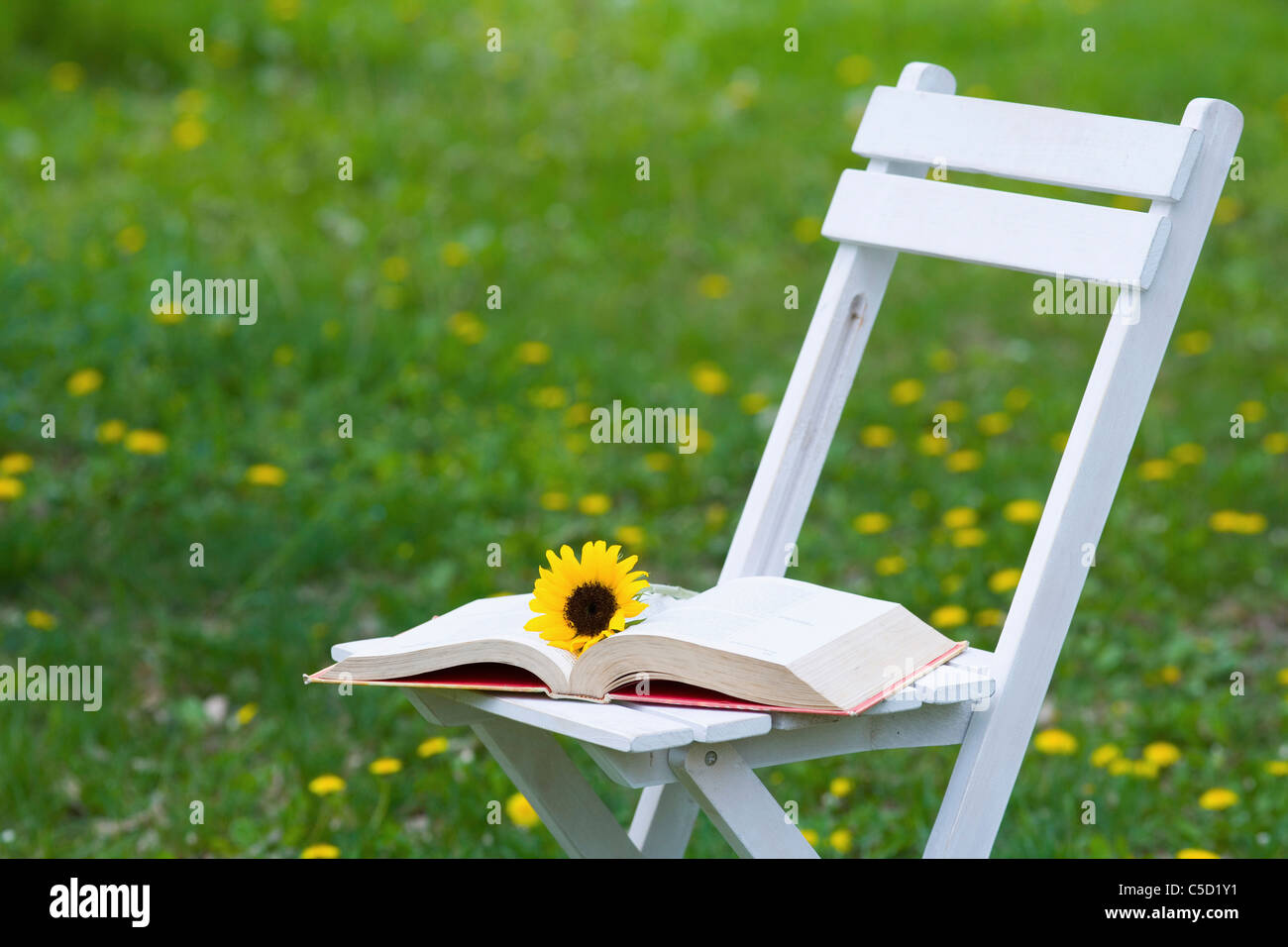 sunflower with book Stock Photo Alamy