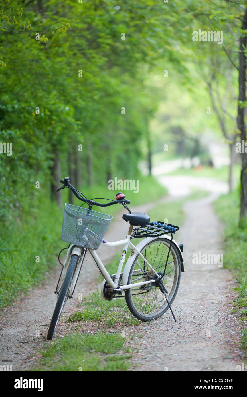 can i ride bicycle on footpath